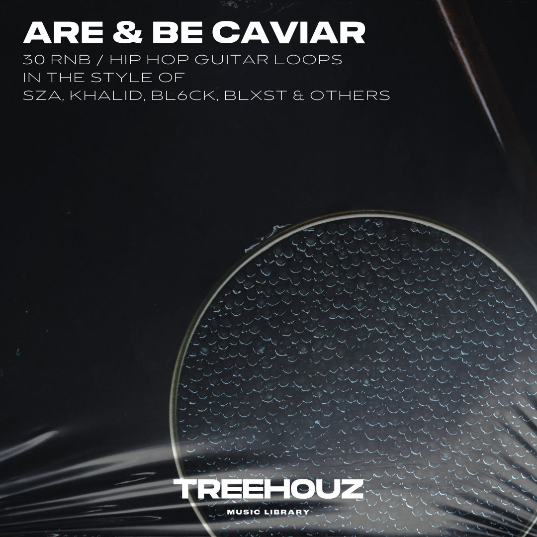 ARE & BE CAVIAR GUITAR LOOP PACK